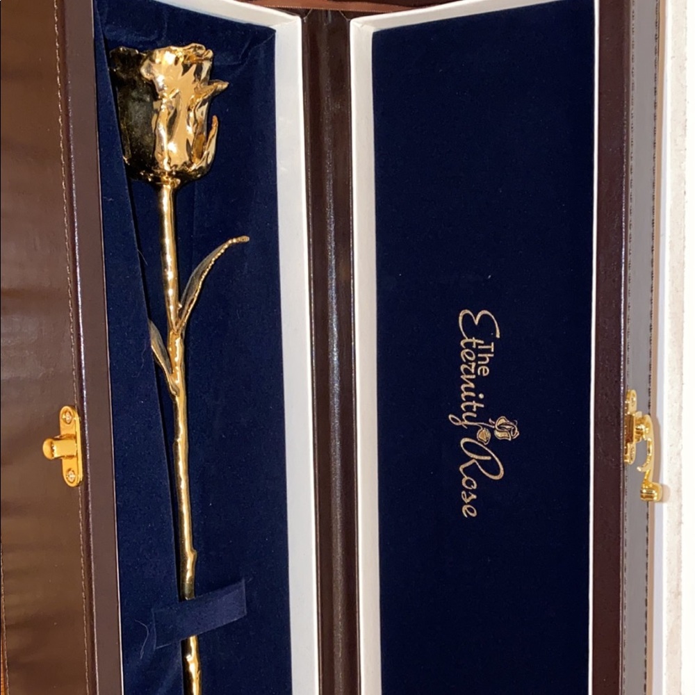 the eternity rose